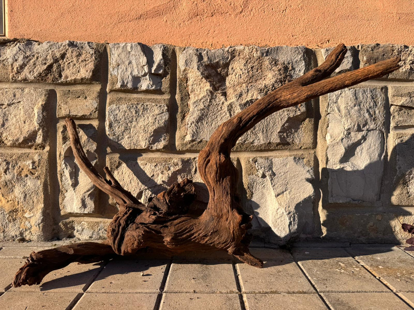Drift Wood - 61*21*41 - cod.060