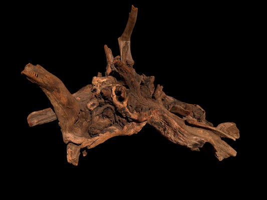 Drift Wood - 44*25*34 - cod.061