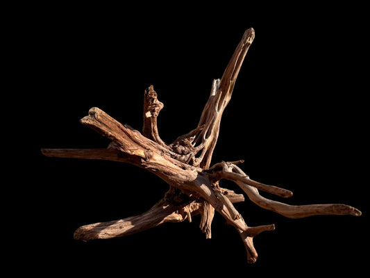 Drift Wood - 42*38*38 - cod.062