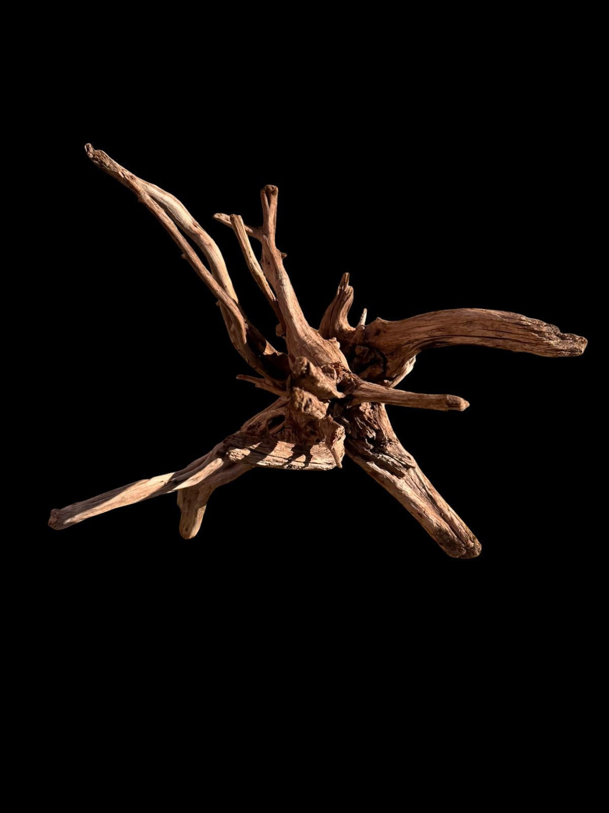 Drift Wood - 42*38*38 - cod.062