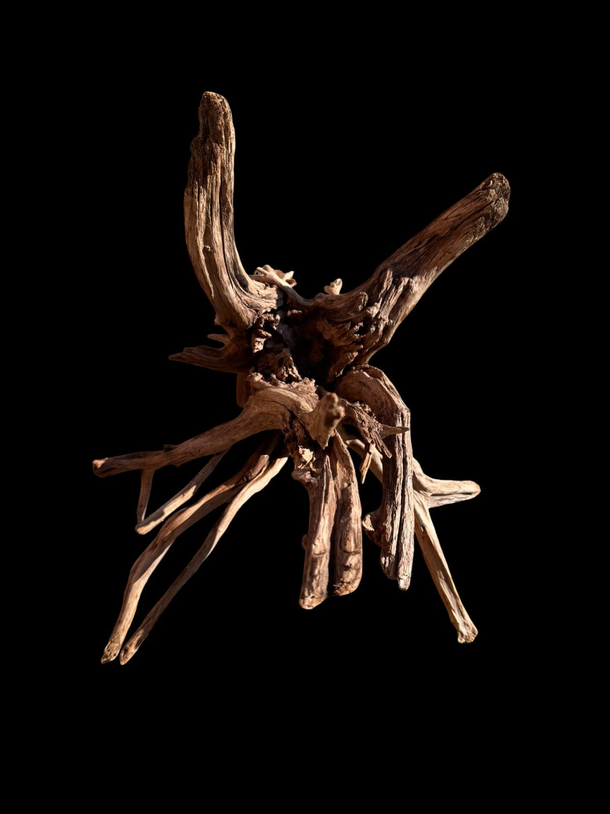 Drift Wood - 42*38*38 - cod.062