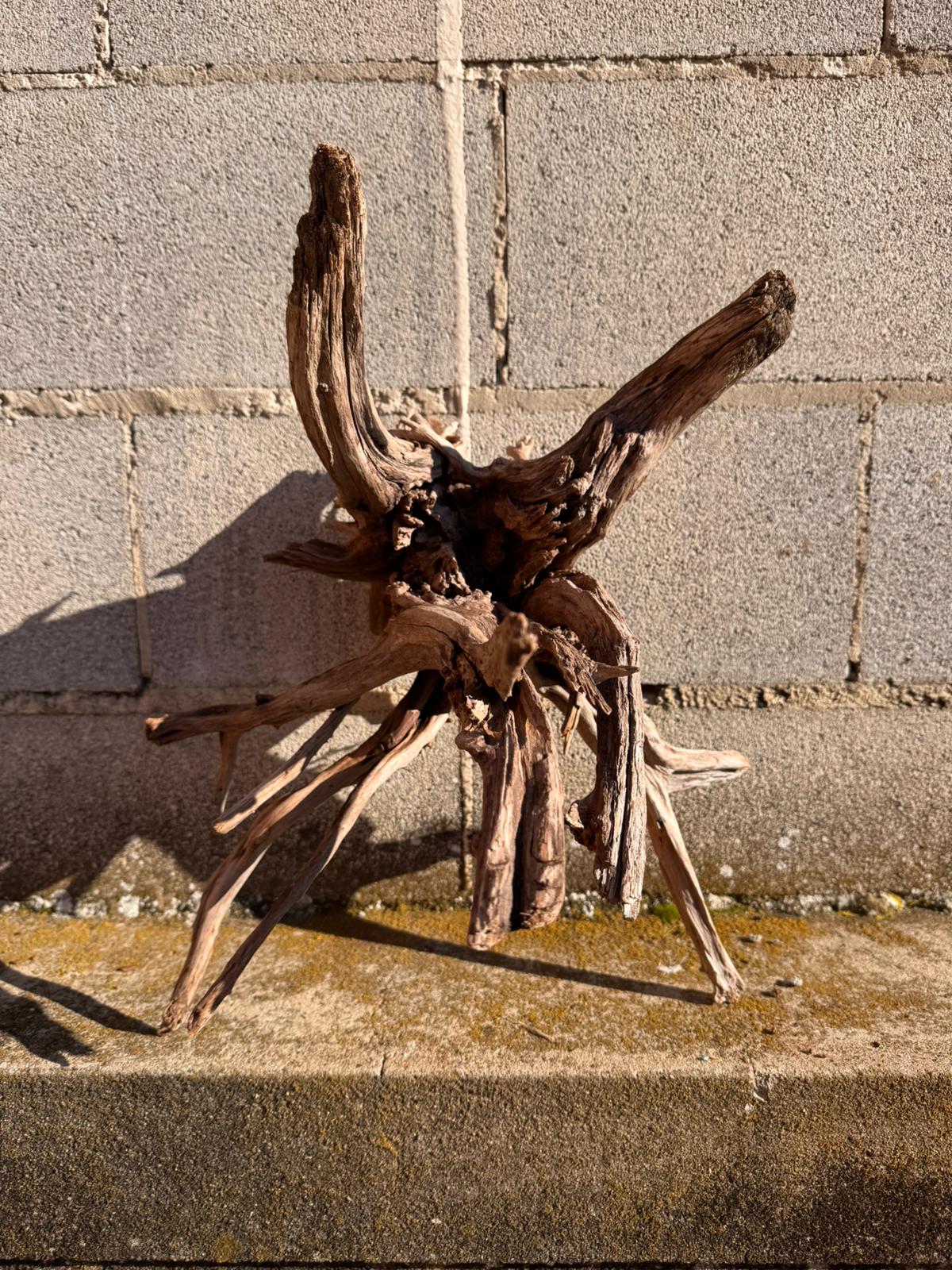 Drift Wood - 42*38*38 - cod.062