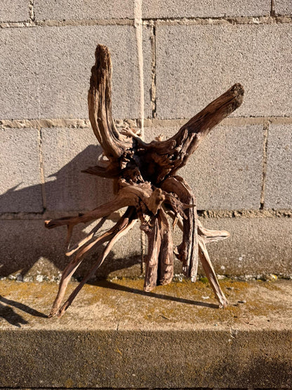 Drift Wood - 42*38*38 - cod.062