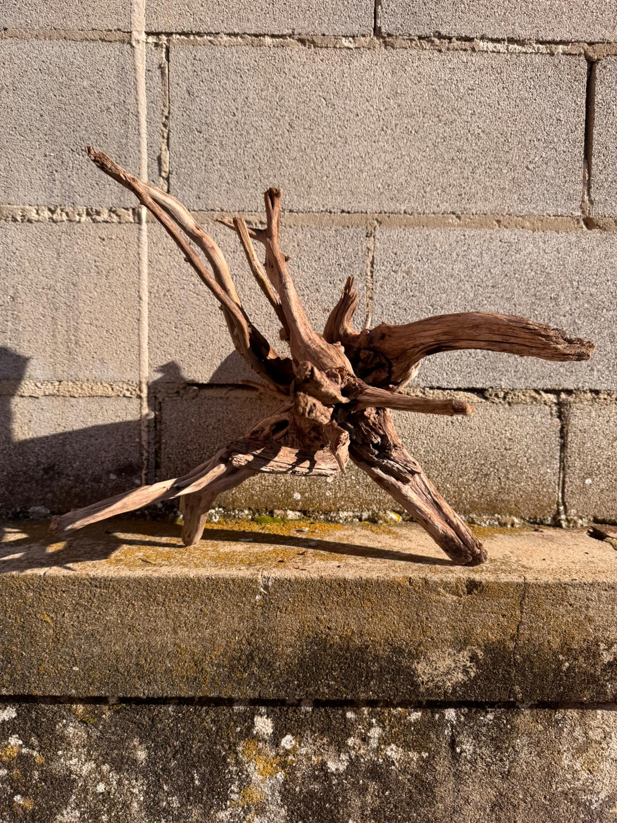 Drift Wood - 42*38*38 - cod.062