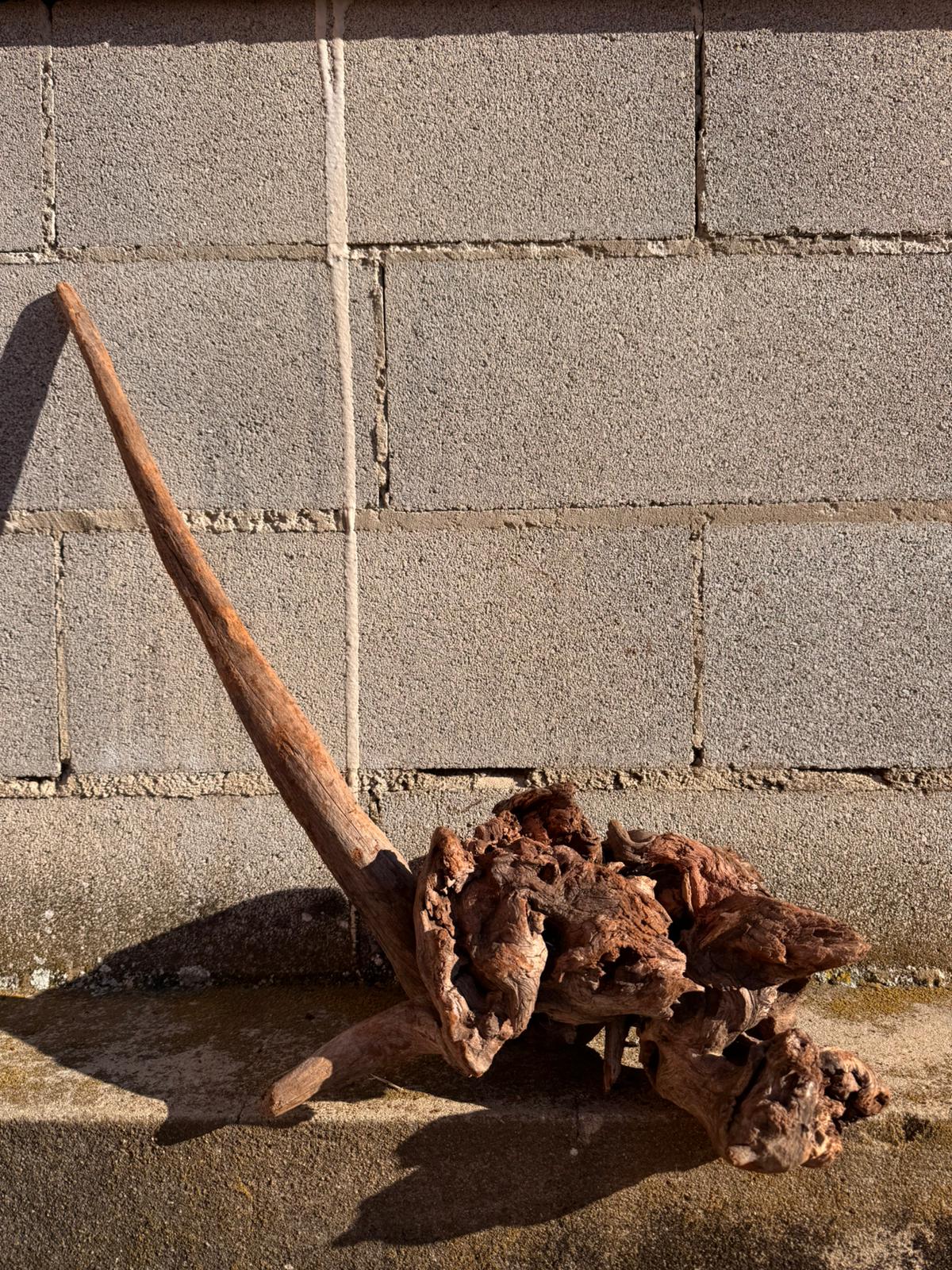 Drift Wood - 58*27*55 - cod.063