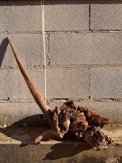 Drift Wood - 58*27*55 - cod.063