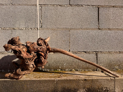 Drift Wood - 58*27*55 - cod.063