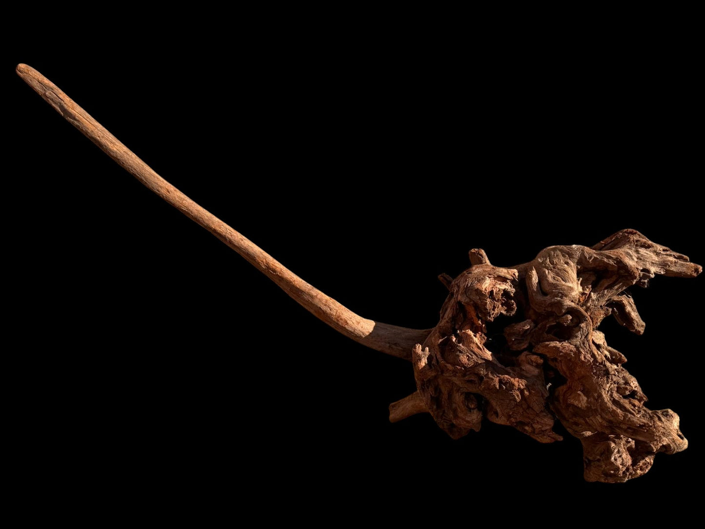 Drift Wood - 58*27*55 - cod.063