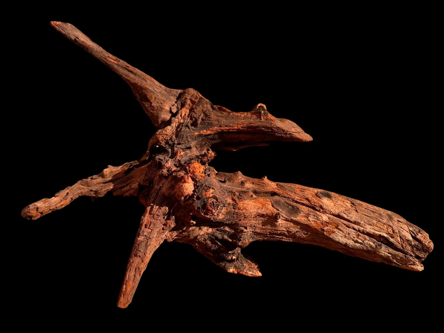 Drift Wood - 41*13*22 - cod.064