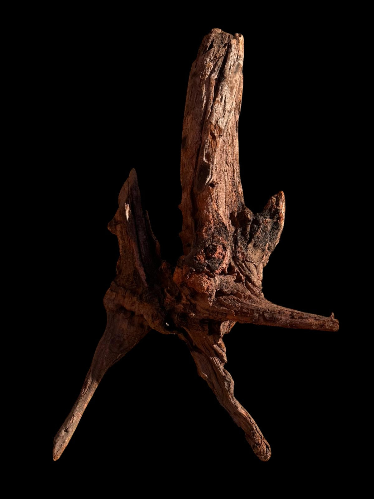 Drift Wood - 41*13*22 - cod.064