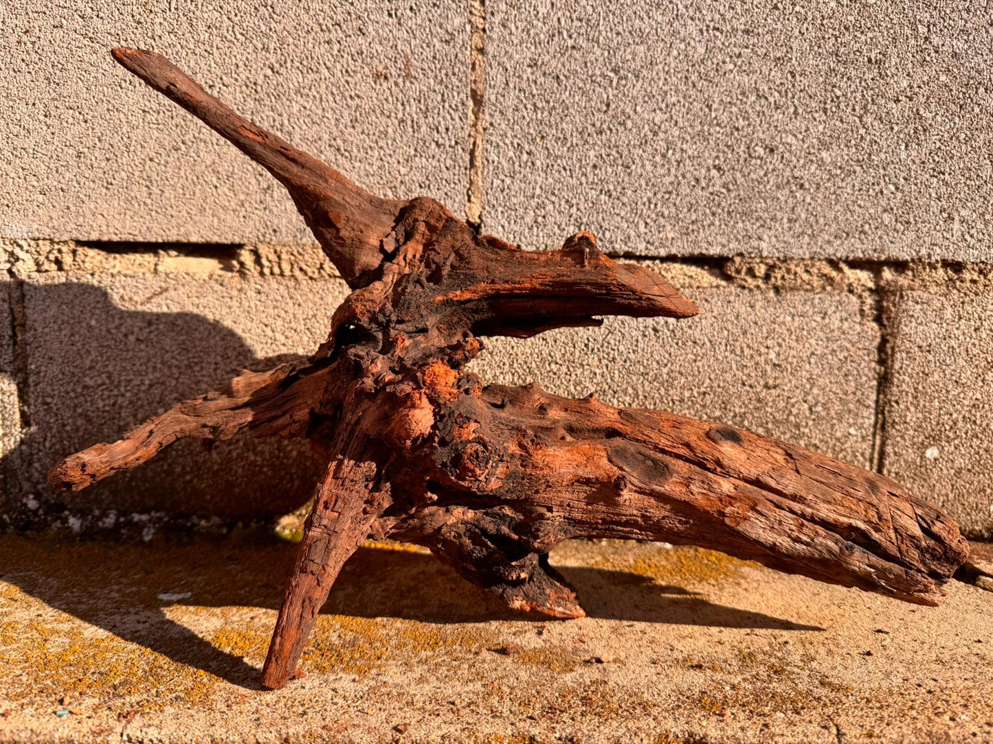 Drift Wood - 41*13*22 - cod.064