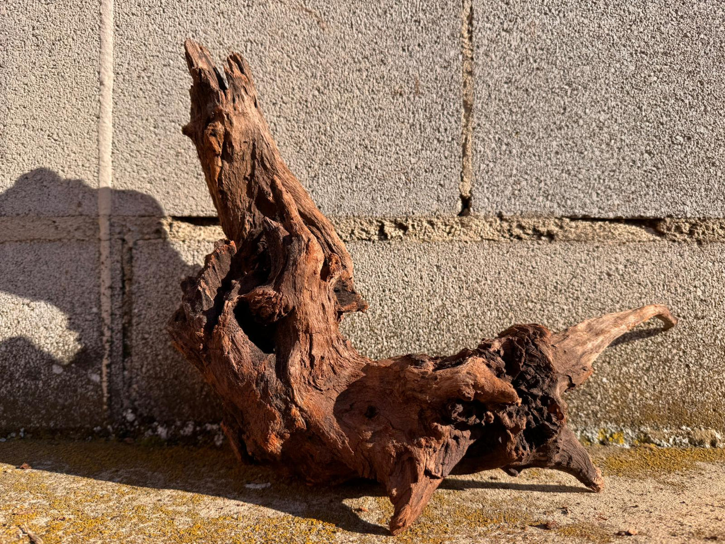 Drift Wood - 36*15*27 - cod.065