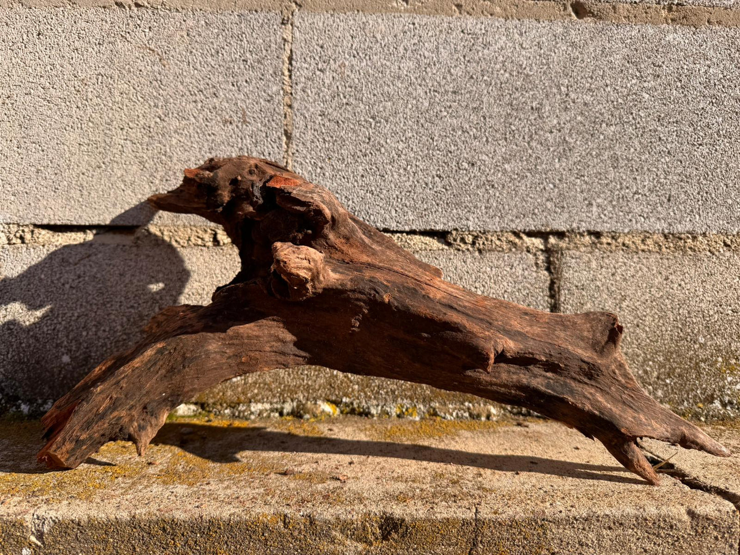 Drift Wood - 45*19*24 - cod.066