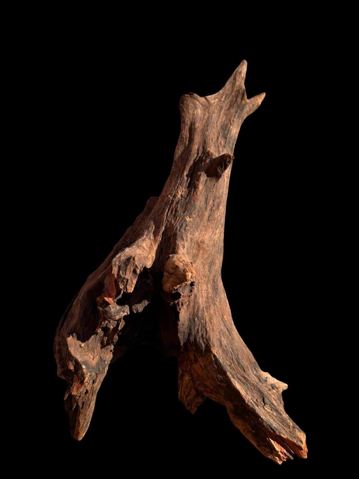Drift Wood - 45*19*24 - cod.066