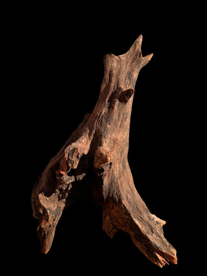 Drift Wood - 45*19*24 - cod.066