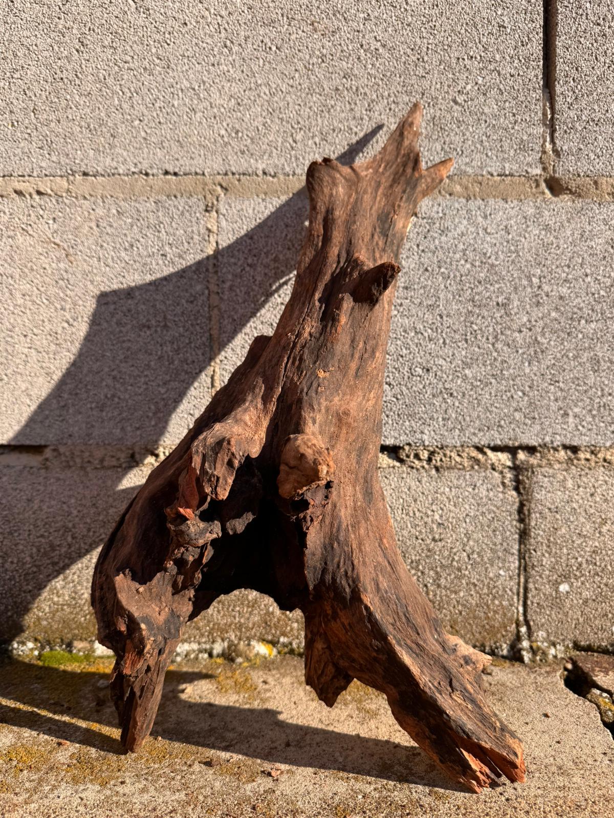 Drift Wood - 45*19*24 - cod.066