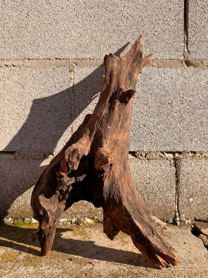 Drift Wood - 45*19*24 - cod.066