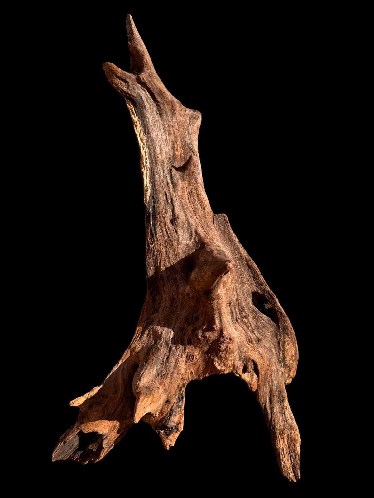Drift Wood - 45*19*24 - cod.066