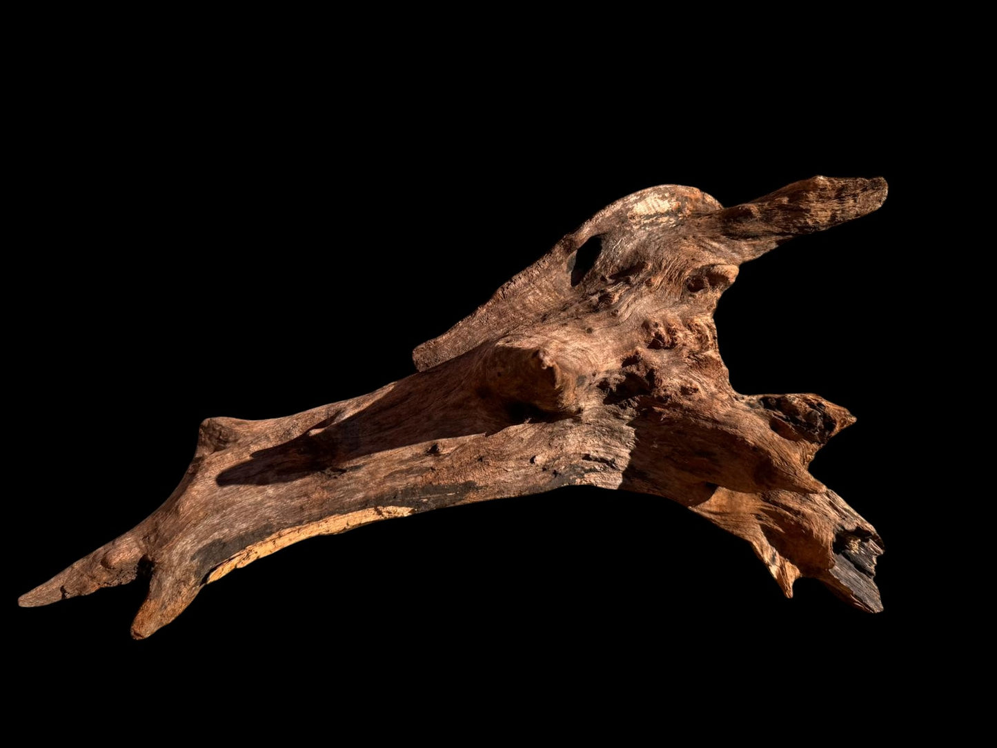 Drift Wood - 45*19*24 - cod.066