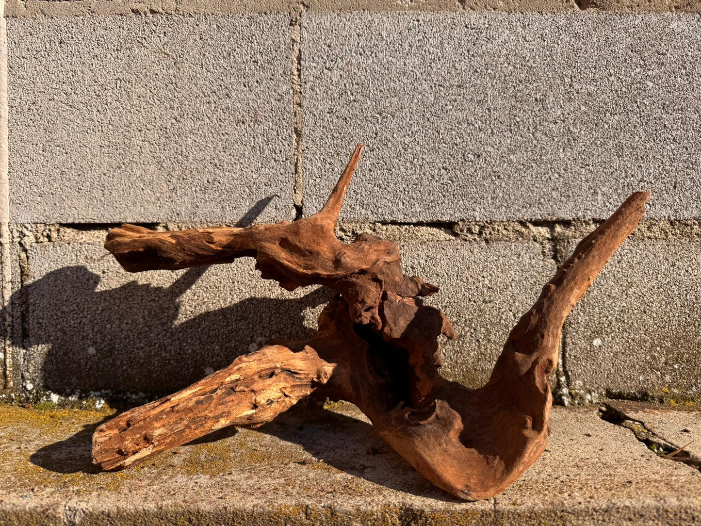 Drift Wood - 42*26*13 - cod.067