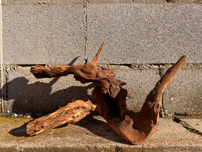 Drift Wood - 42*26*13 - cod.067