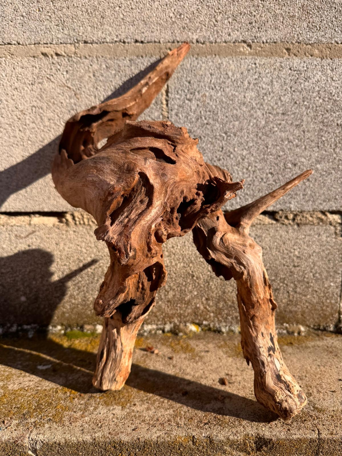 Drift Wood - 42*26*13 - cod.067