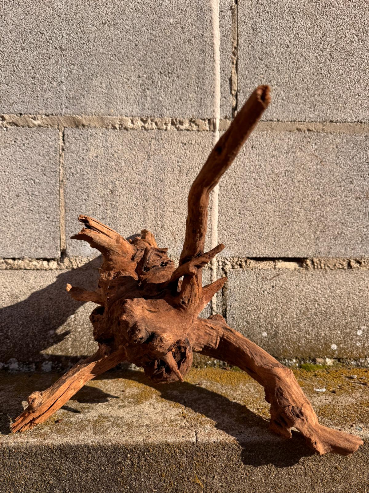 Drift Wood - 35*33*28 - cod.068