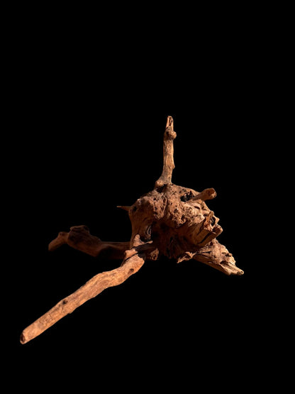 Drift Wood - 35*33*28 - cod.068