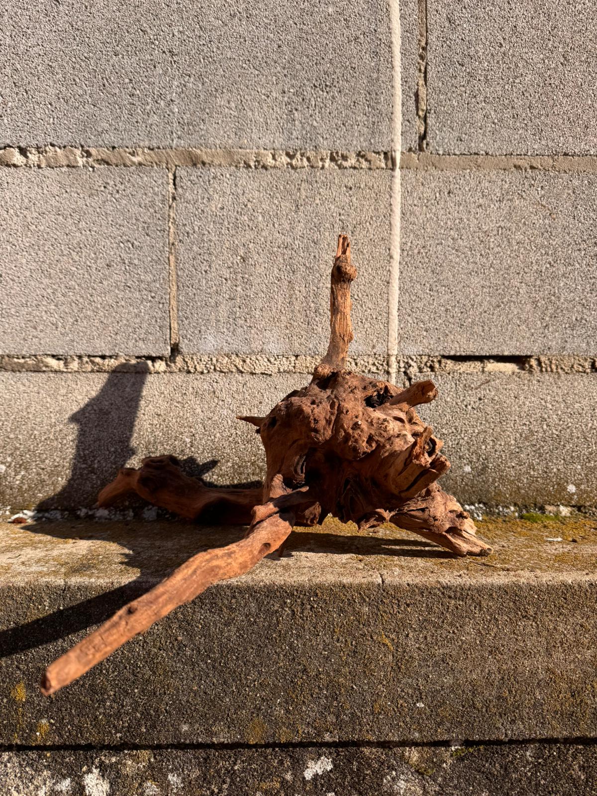 Drift Wood - 35*33*28 - cod.068