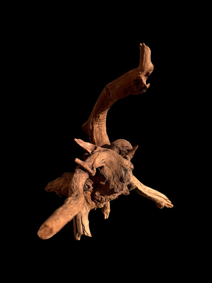 Drift Wood - 35*33*28 - cod.068