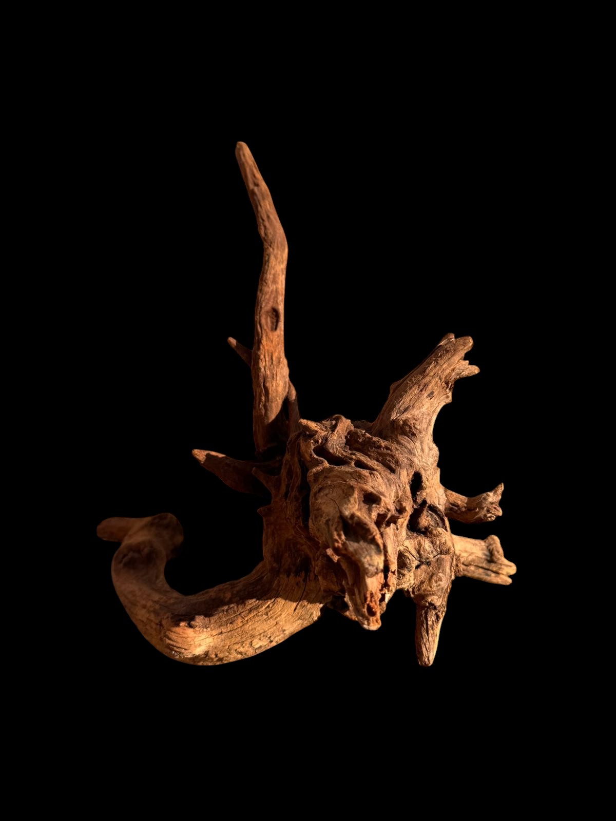 Drift Wood - 35*33*28 - cod.068