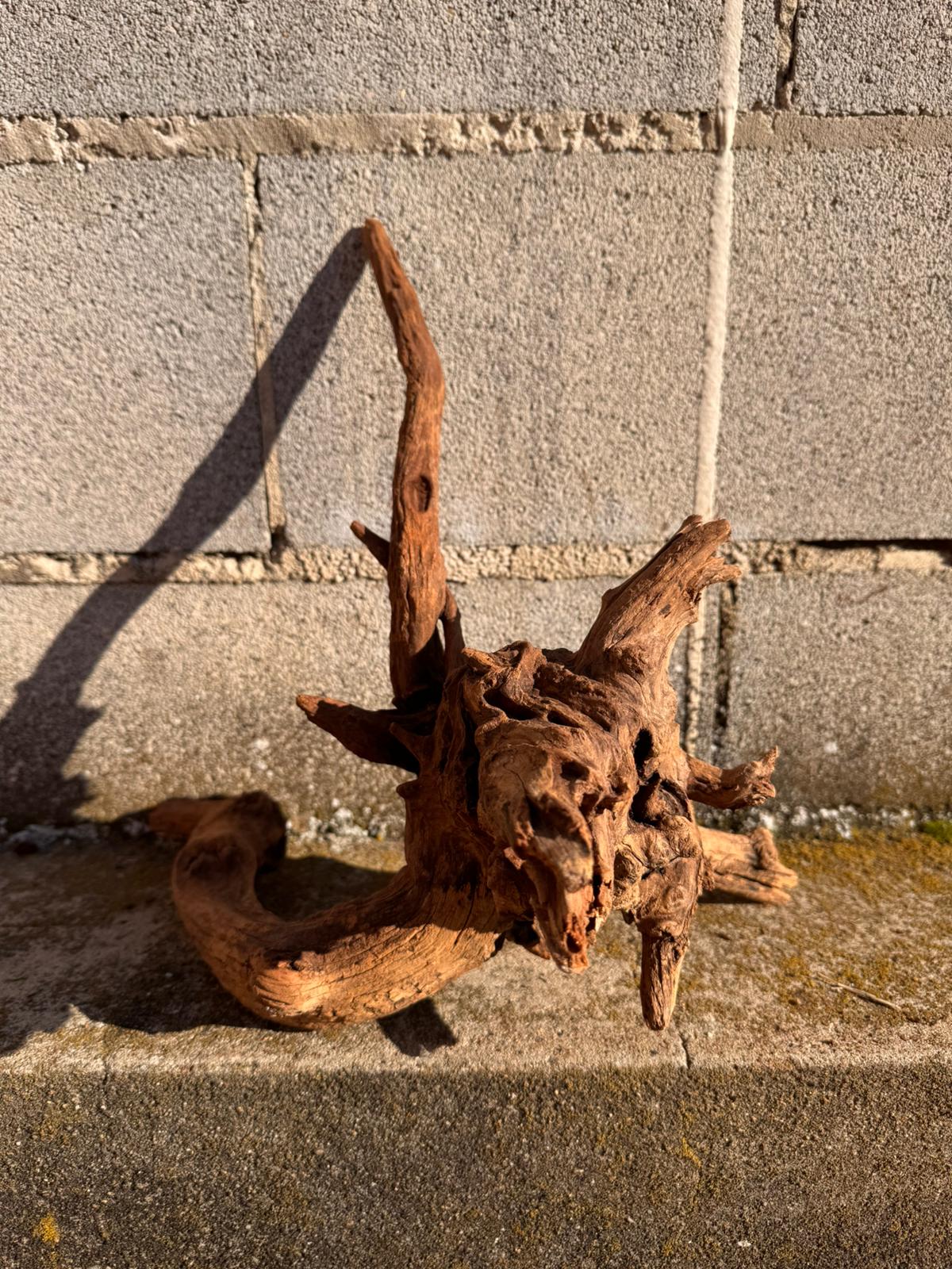 Drift Wood - 35*33*28 - cod.068