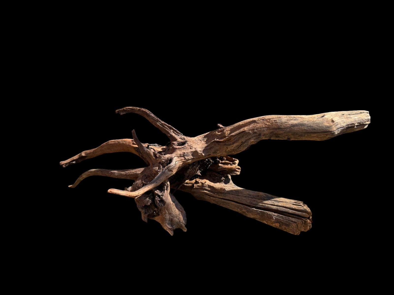 Drift Wood - 66*26*28 - cod.069 AQPET