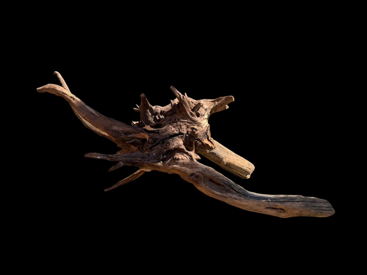 Drift Wood - 66*26*28 - cod.069 AQPET