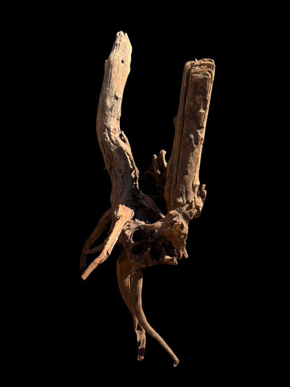 Drift Wood - 66*26*28 - cod.069 AQPET
