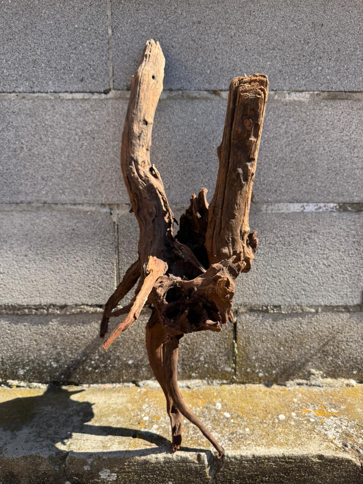 Drift Wood - 66*26*28 - cod.069 AQPET