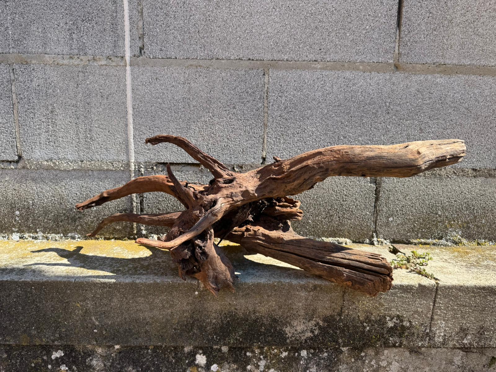 Drift Wood - 66*26*28 - cod.069 AQPET