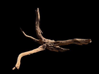 Drift Wood - 70*50*45 - cod.070 AQPET