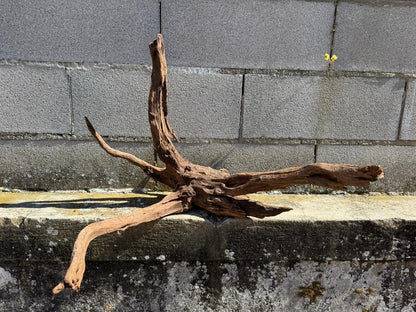 Drift Wood - 70*50*45 - cod.070 AQPET