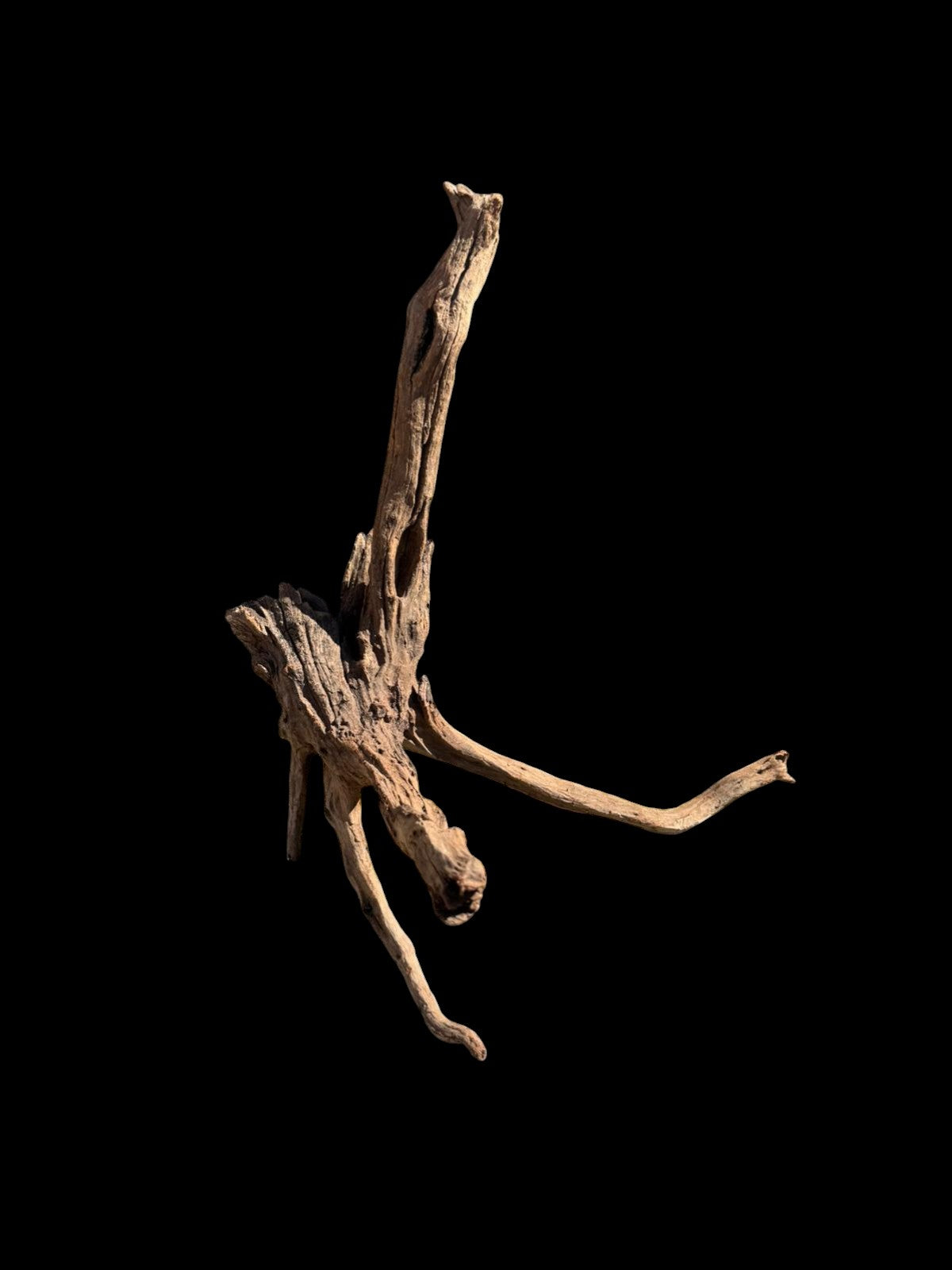Drift Wood - 70*50*45 - cod.070 AQPET