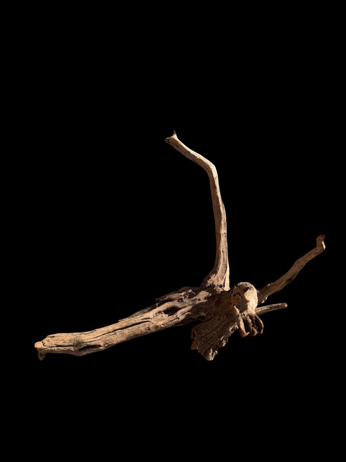 Drift Wood - 70*50*45 - cod.070 AQPET