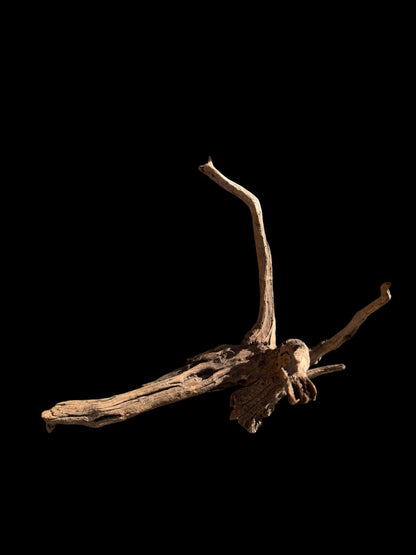 Drift Wood - 70*50*45 - cod.070 AQPET