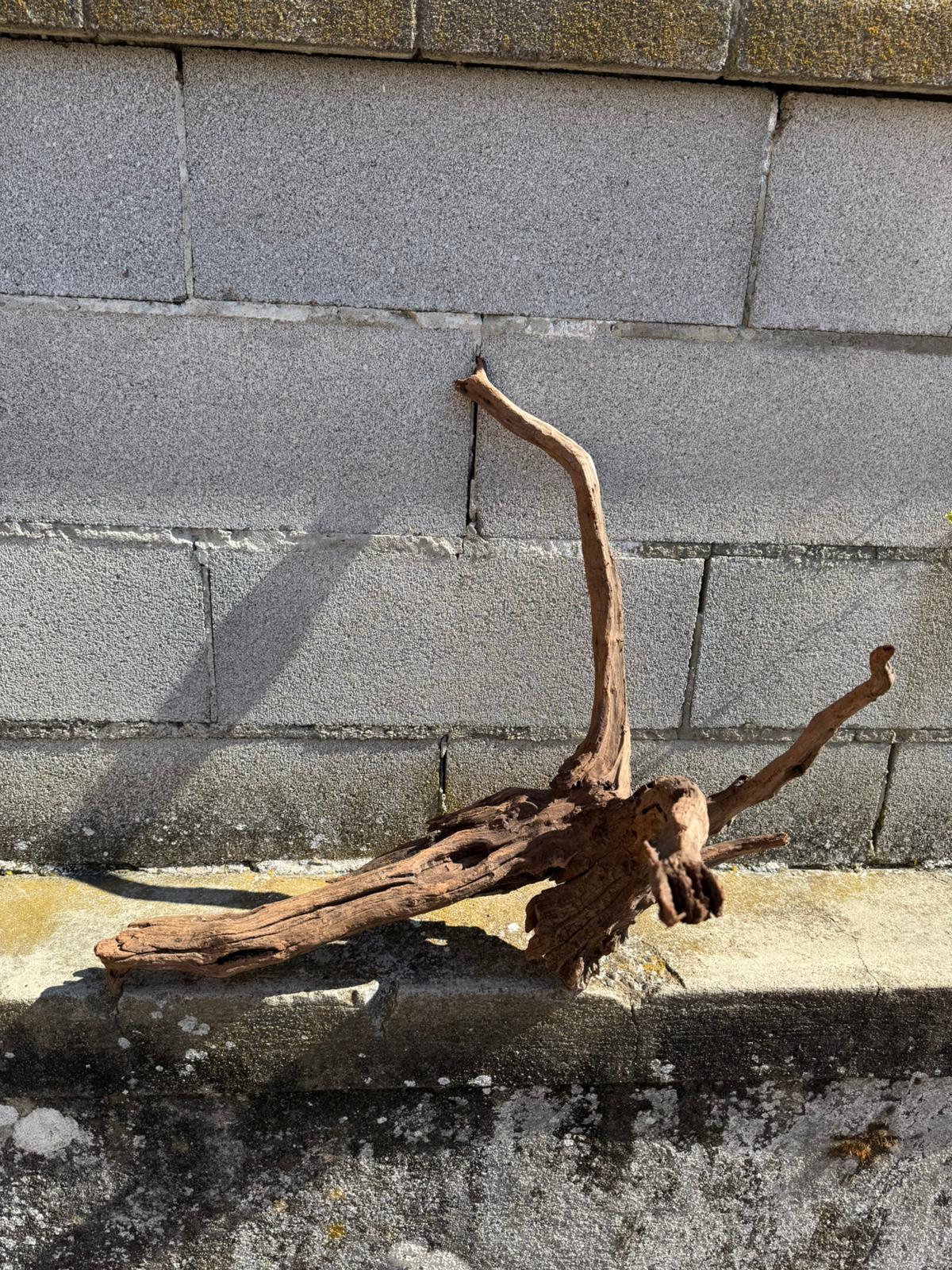 Drift Wood - 70*50*45 - cod.070 AQPET