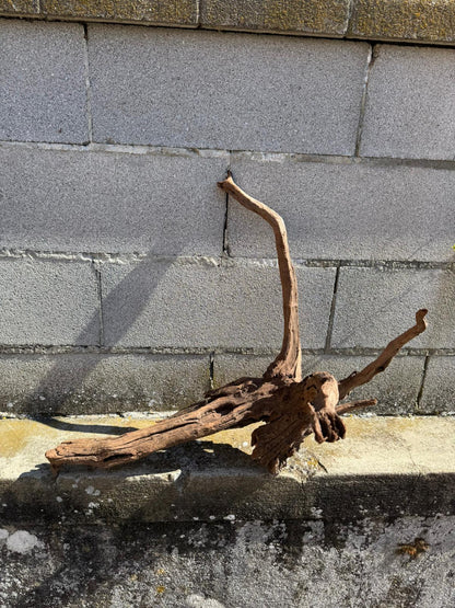 Drift Wood - 70*50*45 - cod.070 AQPET