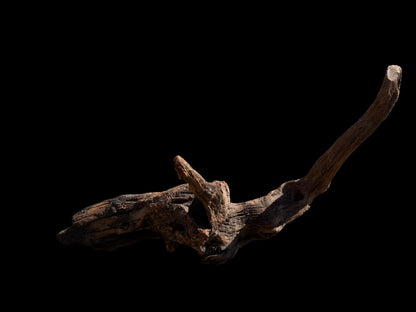 Drift Wood - 66*20*25 - cod.071 AQPET