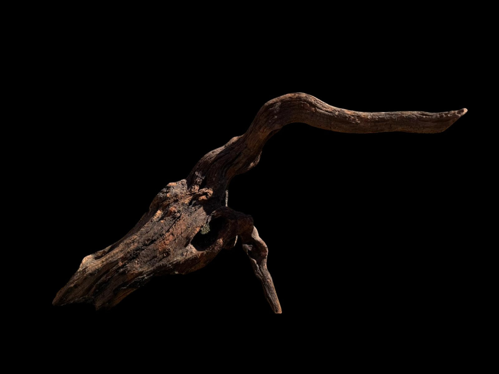 Drift Wood - 66*20*25 - cod.071 AQPET