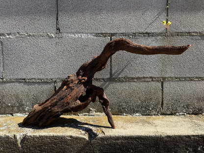 Drift Wood - 66*20*25 - cod.071 AQPET