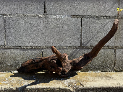 Drift Wood - 66*20*25 - cod.071 AQPET