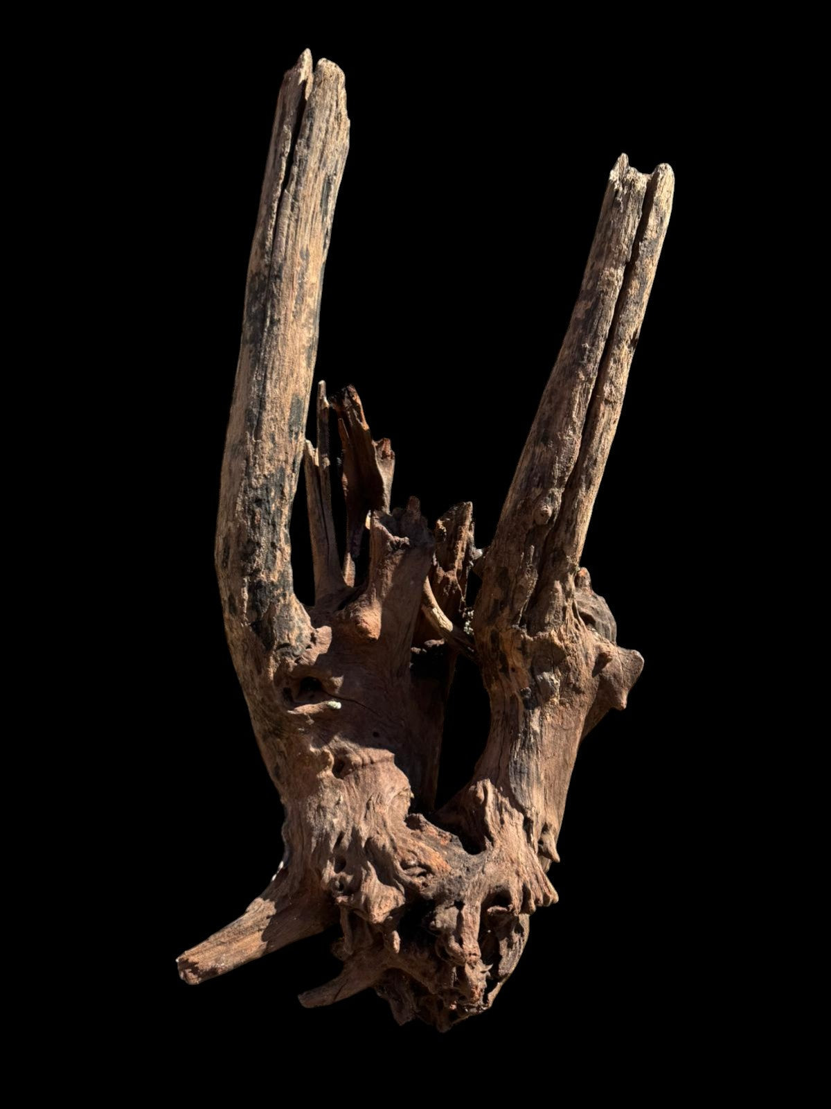 Drift Wood - 41*17*25 - cod.073 AQPET