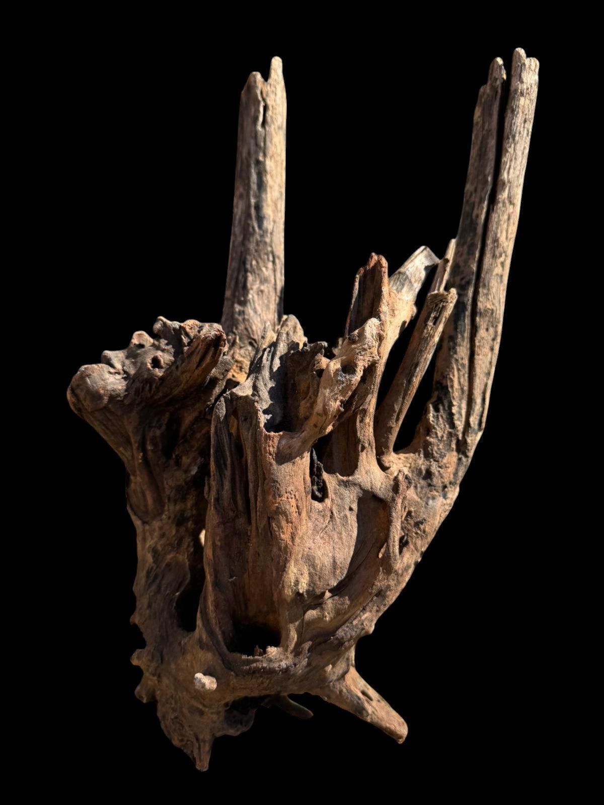 Drift Wood - 41*17*25 - cod.073 AQPET